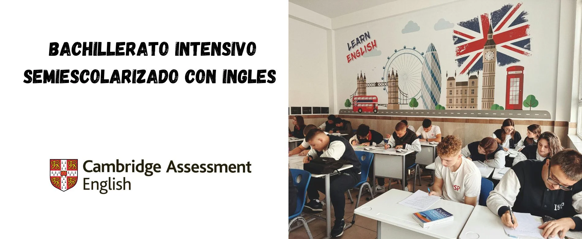 Imagen de sección