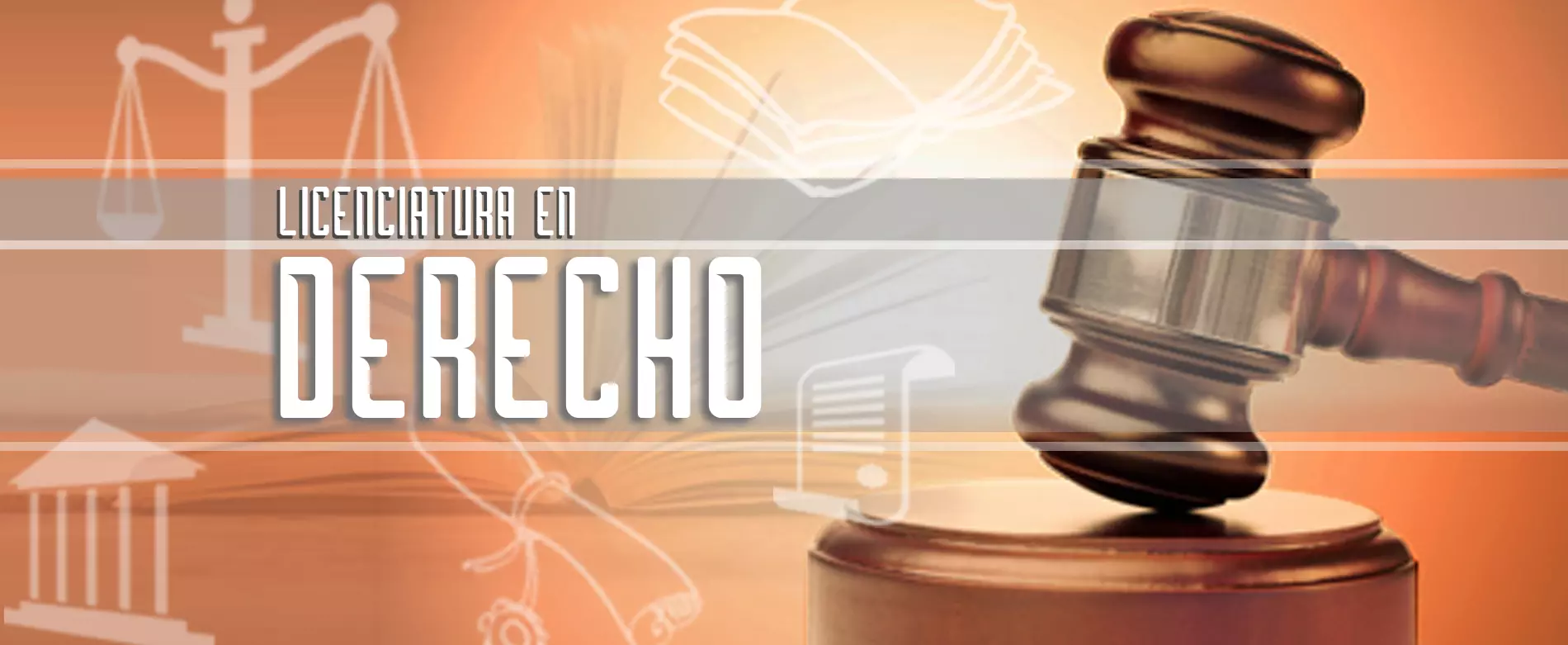 Imagen de sección